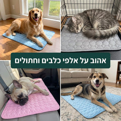 אהוב על אלפי כלבים וחתולים