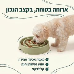 ארוחה בטוחה בקצב הנכון