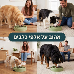 אהוב על אלפי כלבים