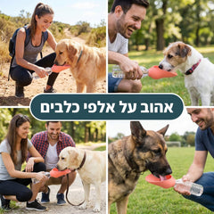 אהוב על אלפי כלבים