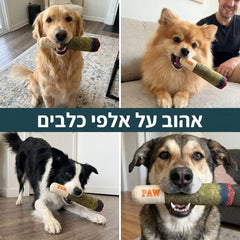 אהוב על אלפי כלבים