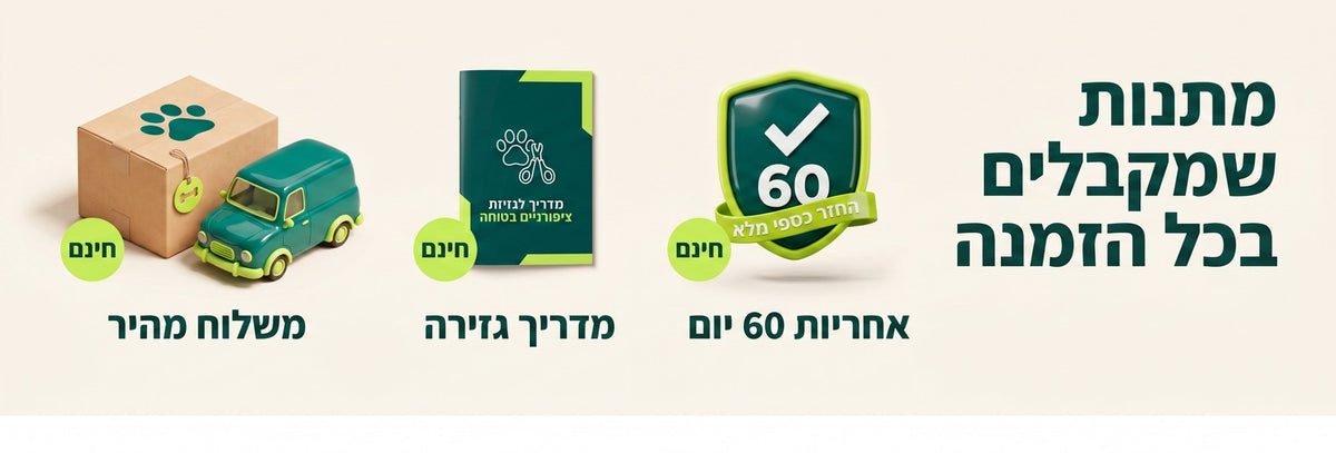 מתנות שמקבלים בכל הזמנה