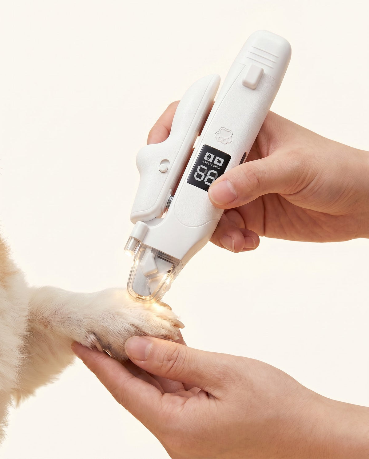 מכשיר anypaw מטפל בעדינות בציפורני כף של כלב, עם תאורת LED