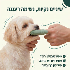 שיניים נקיות נשימה רעננה