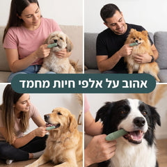 אהוב על אלפי חיות מחמד